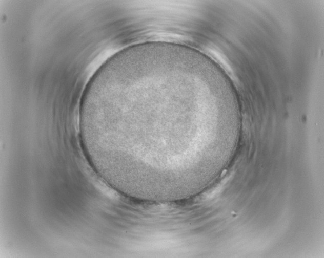 X0000088150891200705291420