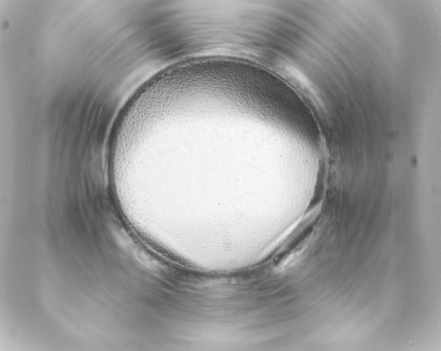 X0000088150892200705291420