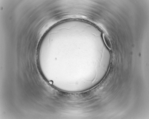 X0000088150895200705291420