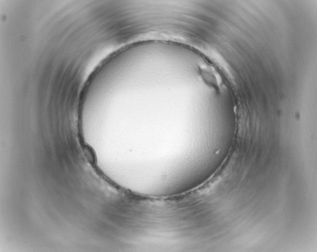 X0000088150896200705291420