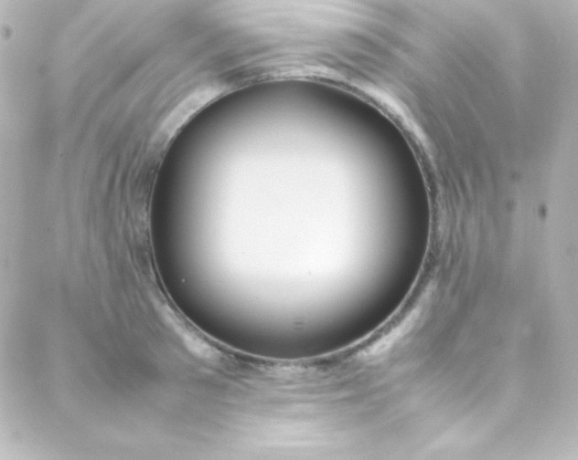 X0000088150897200705291420