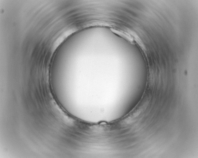 X0000088150898200705291420