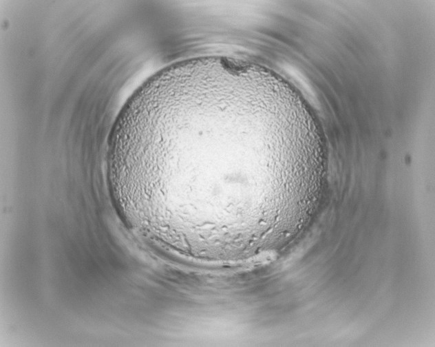 X0000088150899200705291420