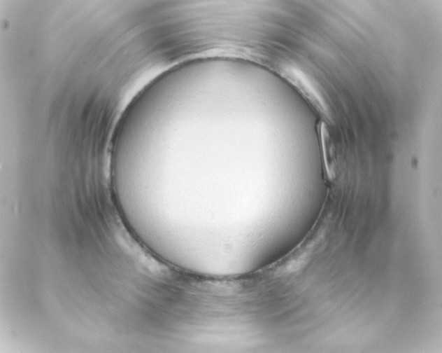 X0000088150900200705291420