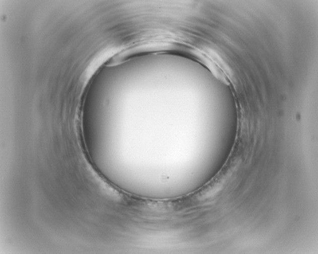 X0000088150901200705291420