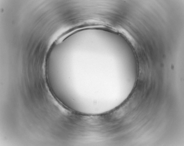 X0000088150902200705291420