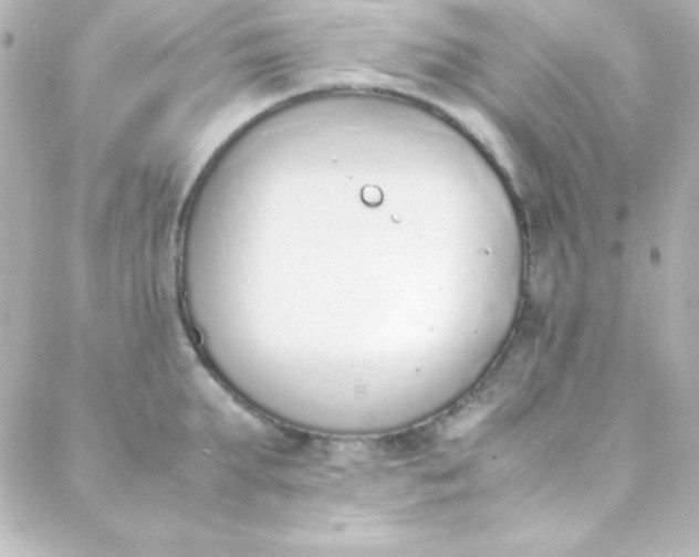 X0000088150903200705291420