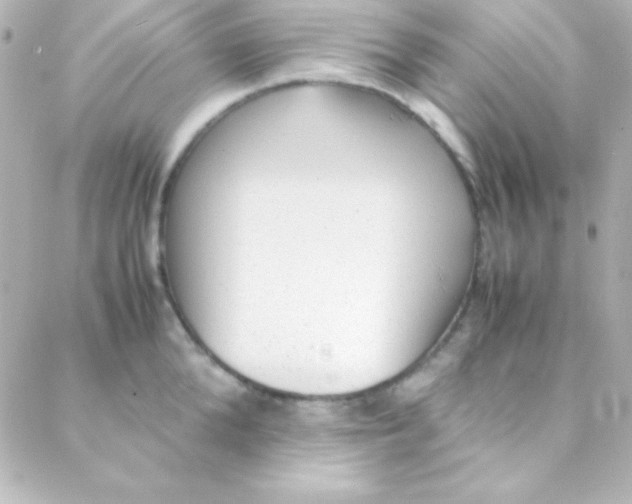 X0000088150904200705291420