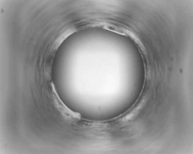 X0000088150905200705291419