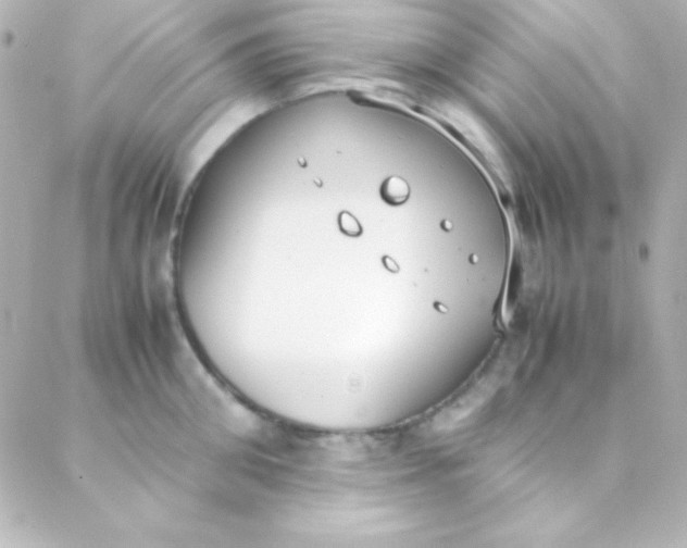 X0000088150906200705291419