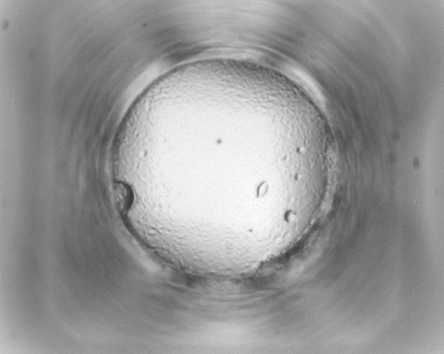 X0000088150907200705291419