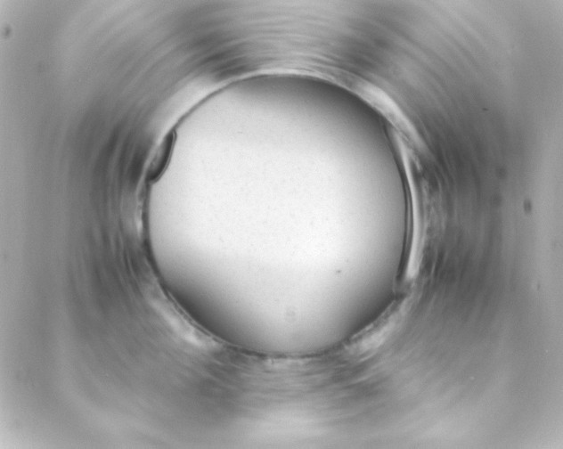 X0000088150908200705291419