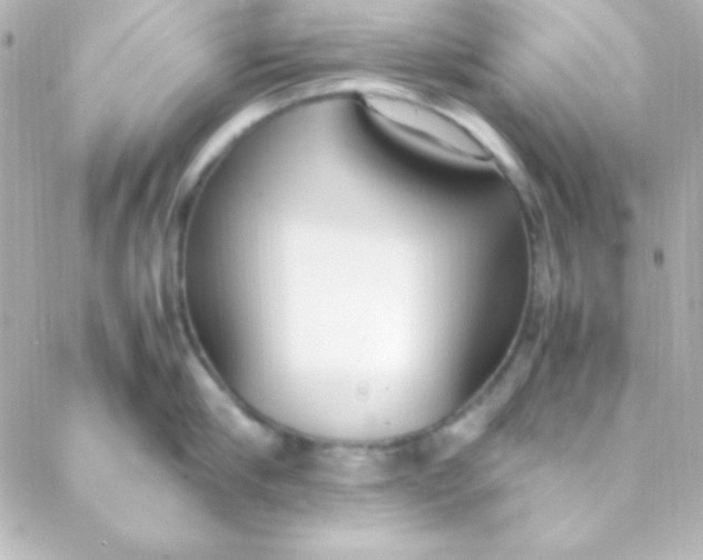 X0000088150910200705291419