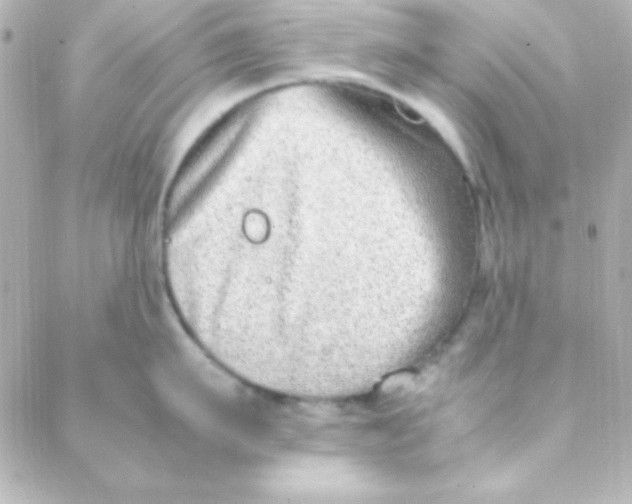 X0000088150911200705291419