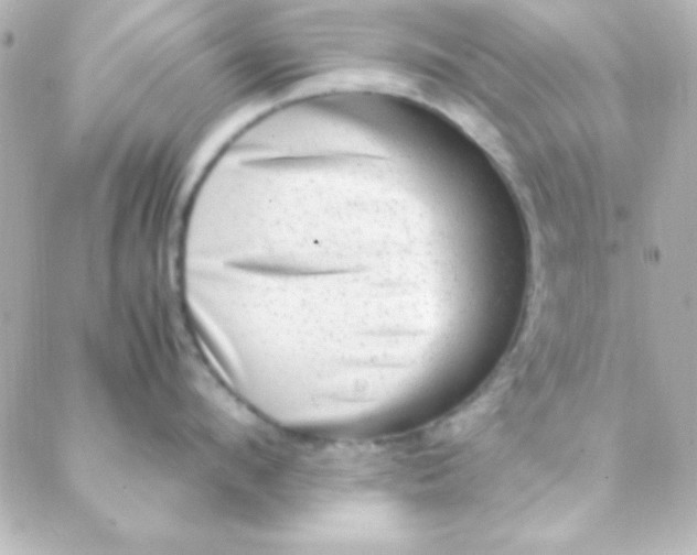 X0000088150912200705291419