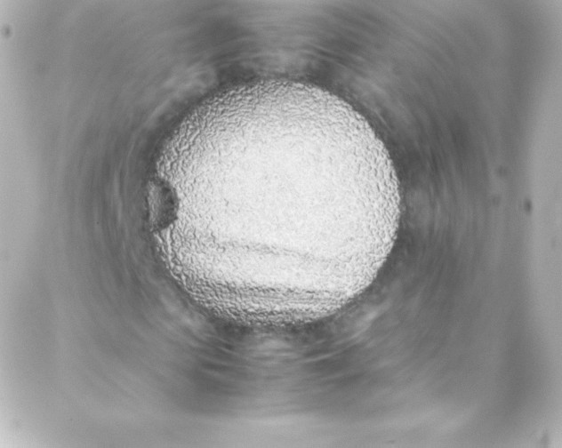 X0000088150913200705291419