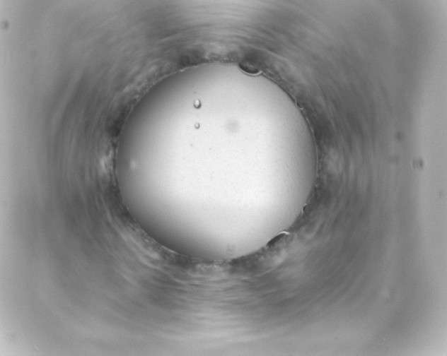 X0000088150914200705291419