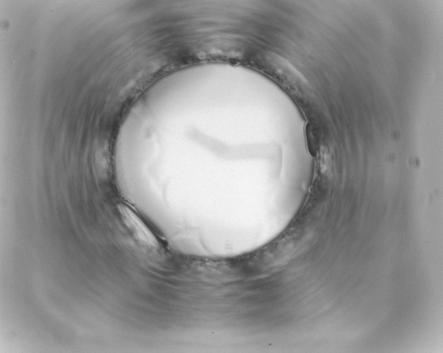 X0000088150915200705291419