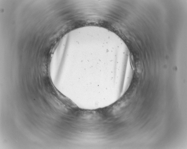 X0000088150916200705291419