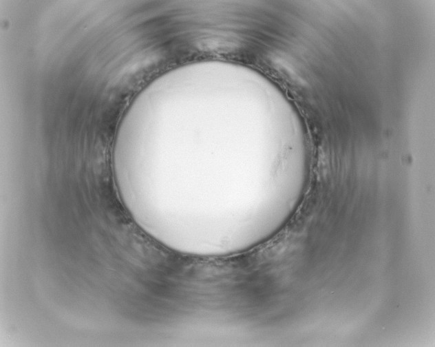 X0000088150917200705291419