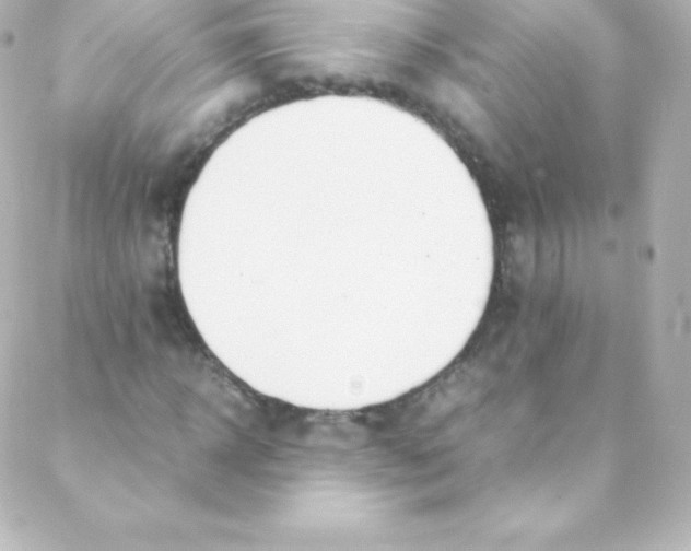 X0000088150918200705291419