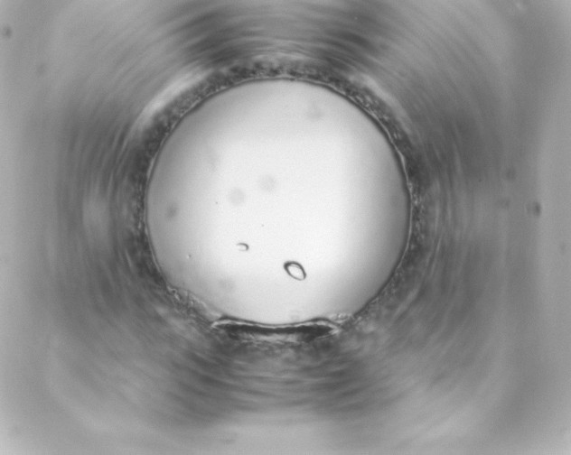 X0000088150919200705291419