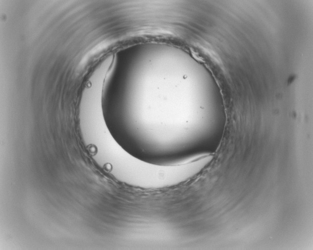 X0000088150920200705291419