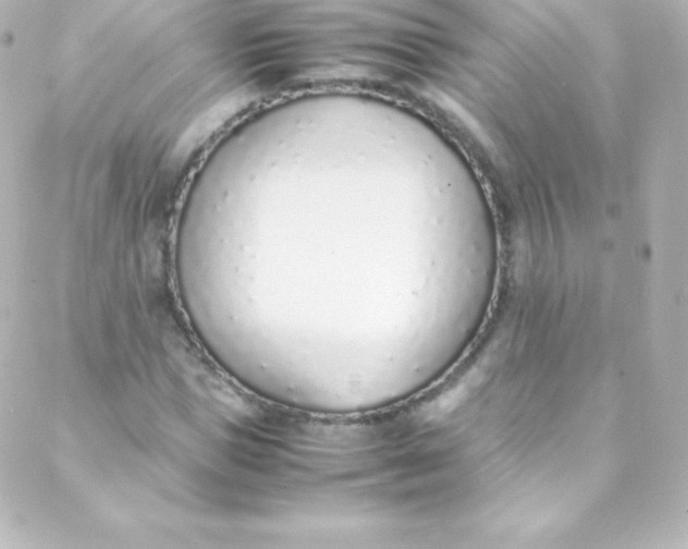 X0000088150921200705291419