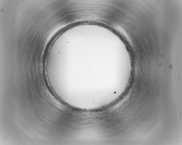 X0000088150924200705291419