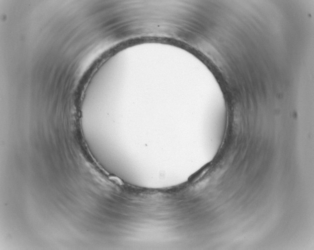 X0000088150926200705291419