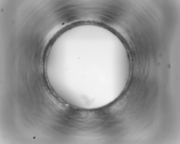 X0000088150927200705291419