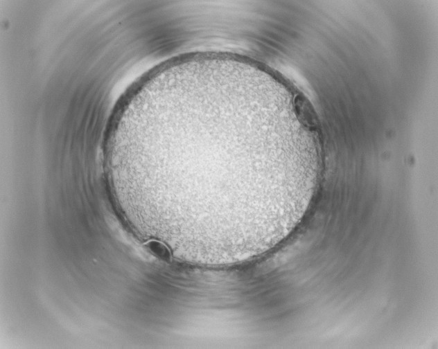 X0000088150928200705291419