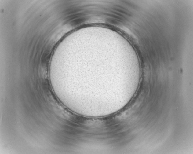 X0000088150929200705291419