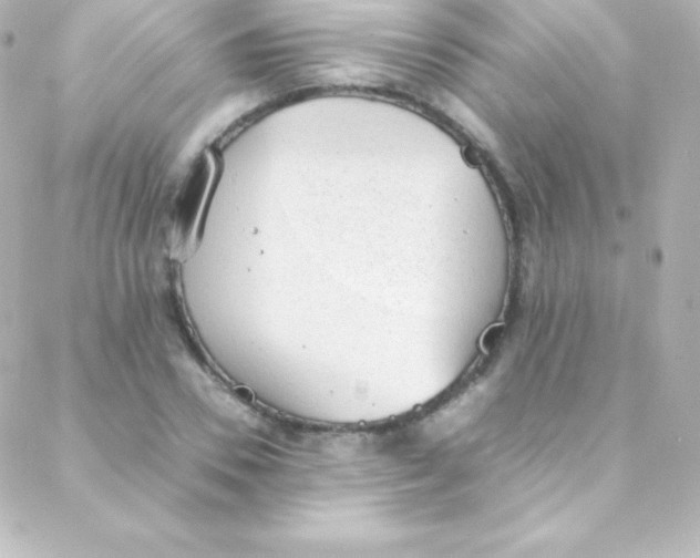 X0000088150930200705291419