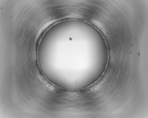 X0000088150931200705291419