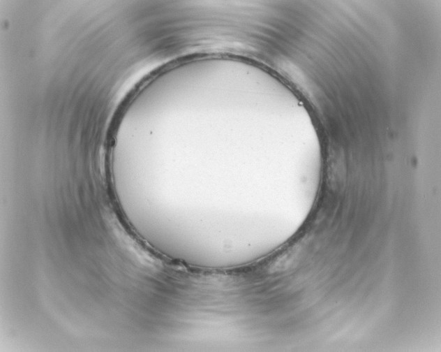 X0000088150932200705291419