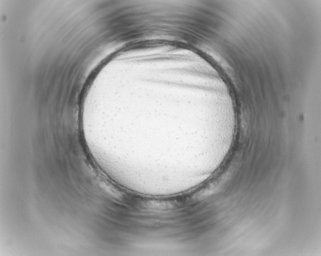 X0000088150933200705291419