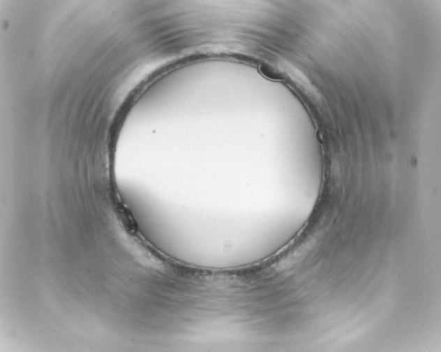 X0000088150934200705291419