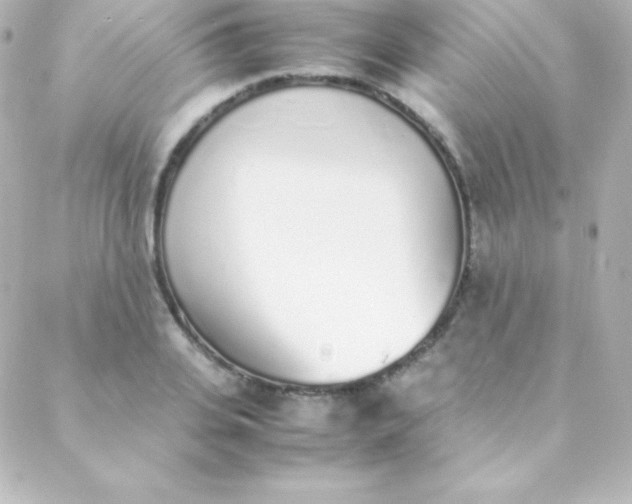 X0000088150935200705291419