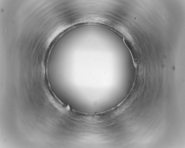 X0000088150936200705291419