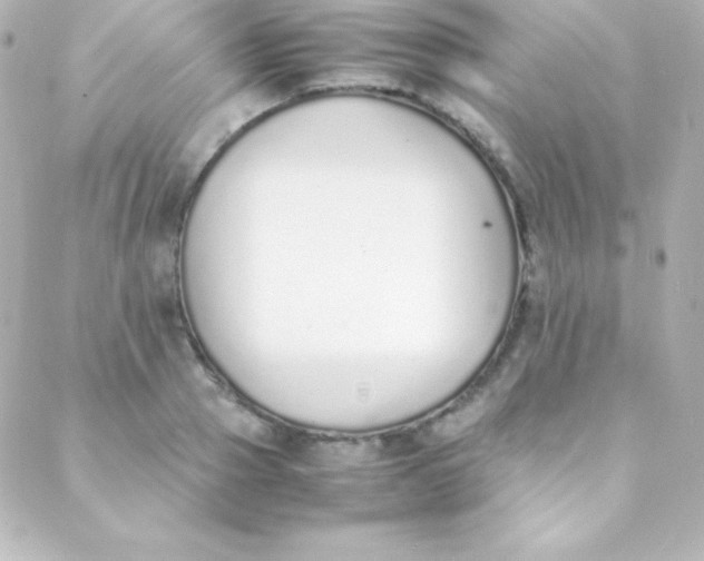 X0000088150937200705291419