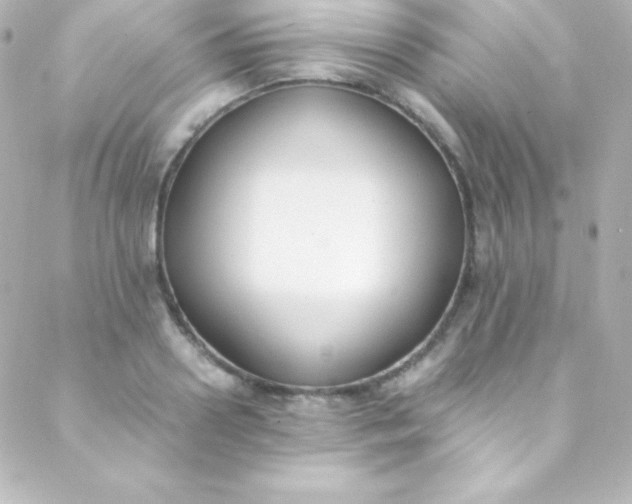 X0000088150938200705291419