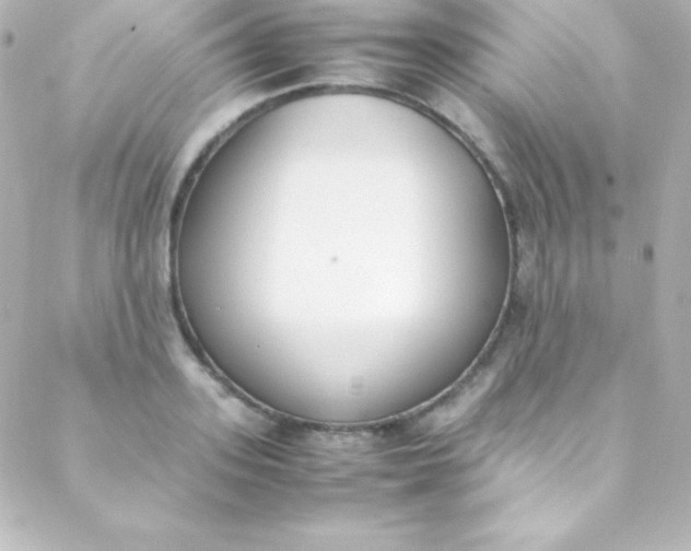 X0000088150939200705291419