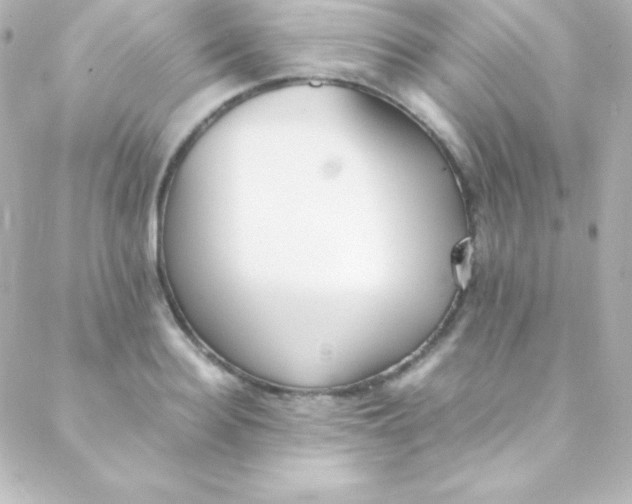 X0000088150940200705291419