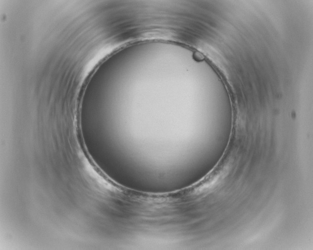 X0000088150941200705291419