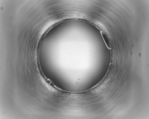 X0000088150942200705291419