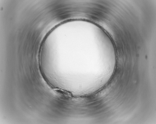 X0000088150943200705291419