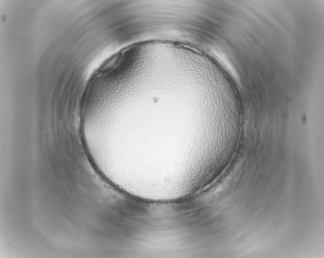 X0000088150944200705291419