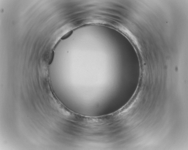 X0000088150945200705291419