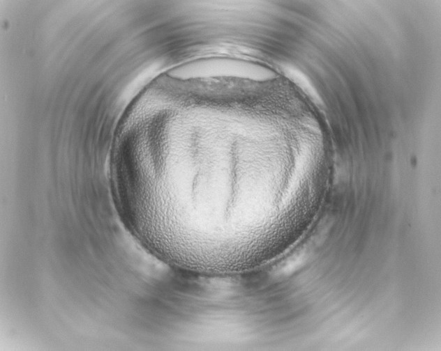 X0000088150946200705291419